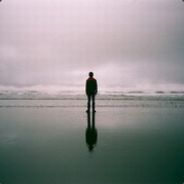 两军交战莫杀鸡。