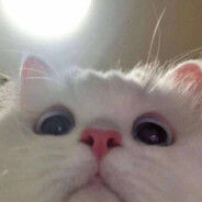 希望关德雨永远开心