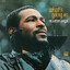 Marvin Gaye - What&#039;s Going On