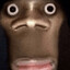 mokrydongas31