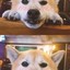 曲终人散yzs