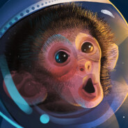 Space Monkey
