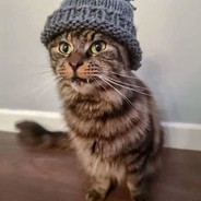 我是强尼银手的弟弟马文金手