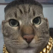 darui
