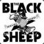 BlackSheep