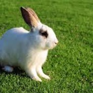 SniperOnly - steam id 76561198885320477