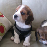 嗯嗯果然要换难度才行