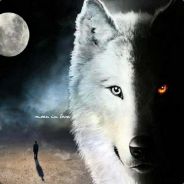 HexxeH - steam id 76561197970950896