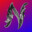 Nynx