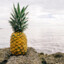 Pineapple Duncan