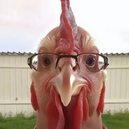 玩家头像