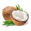 coconut