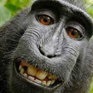 Aleksandr NewBalance 11