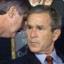 BOT Bush