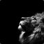Lion - The Trader