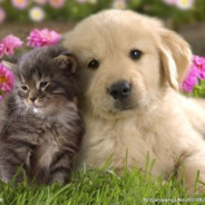 谁愿陪我数尽满天繁星.