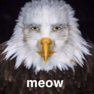 Pakowny Orzeł 2137 [ORZEŁY]