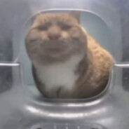 GIRTH's Avatar