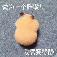 噜啦噜