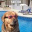 SuicidalDoggo ;(