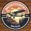 BackcountrySimPilot