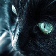 nejyu - steam id 76561197965610191