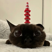 Mezhw0w