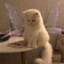 emilie ღ