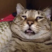 śmierdzącynaplecik