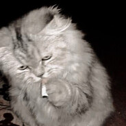 burymealive avatar