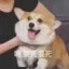 suika丷