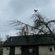 Архитектор