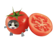 我在洋葱王国很想你