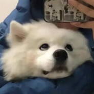 開茥