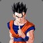 SON GOHAN