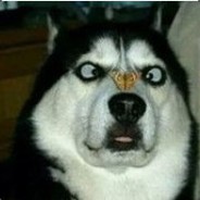 人 迷 枪 软 意 识 差