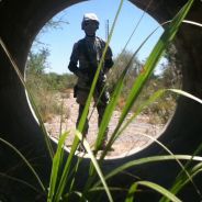 Diego4727
