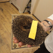 Я люблю Настю