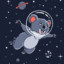 Space_Koala