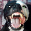 less's avatar
