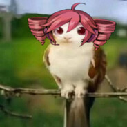 Pip :3 avatar