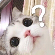 我确实不是奶龙