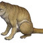 Andrewsarchus