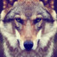 Wolf_X/