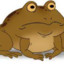 Toad