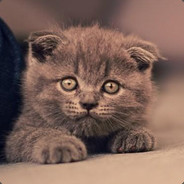 我有毒你有药吗？