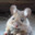 Squeek Mouse avatar