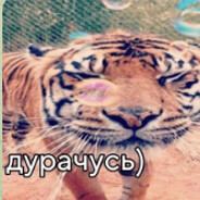 ifml
