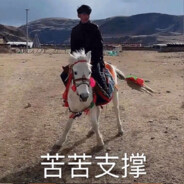 抽锐刻加血骑珍珠秀