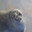 Go to player's stats wastedmymind avatar